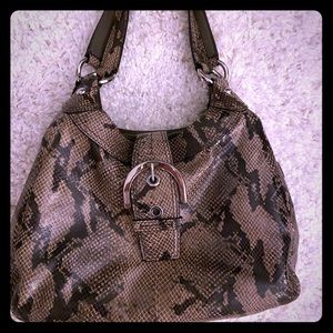 Snake skin Coach purse.